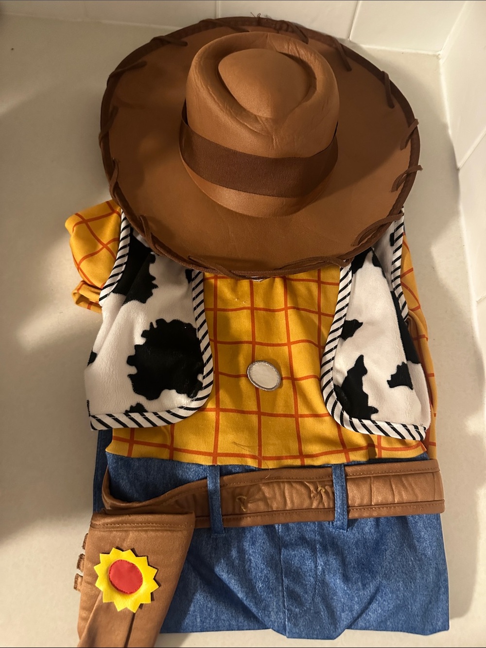 Woody 2T costume